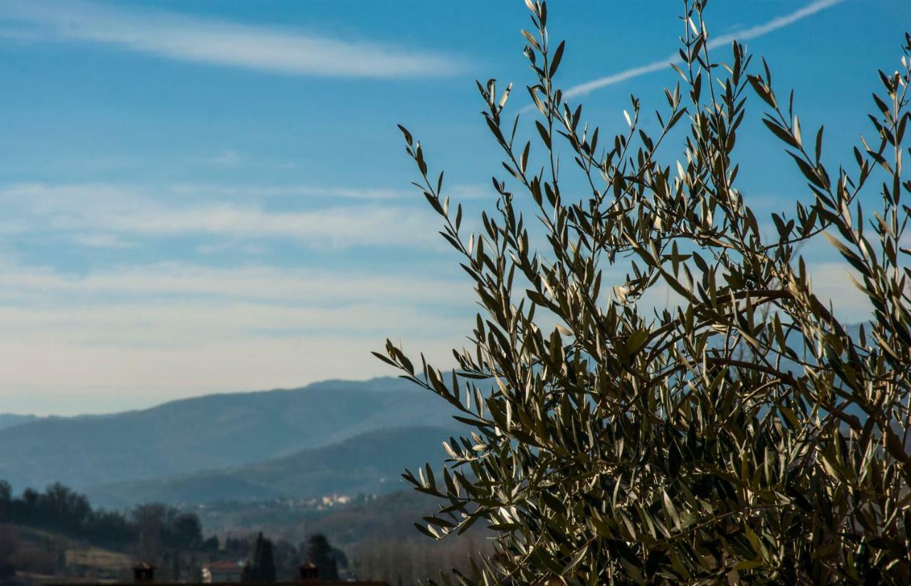 "La Casetta" Pratovecchio Εξωτερικό φωτογραφία